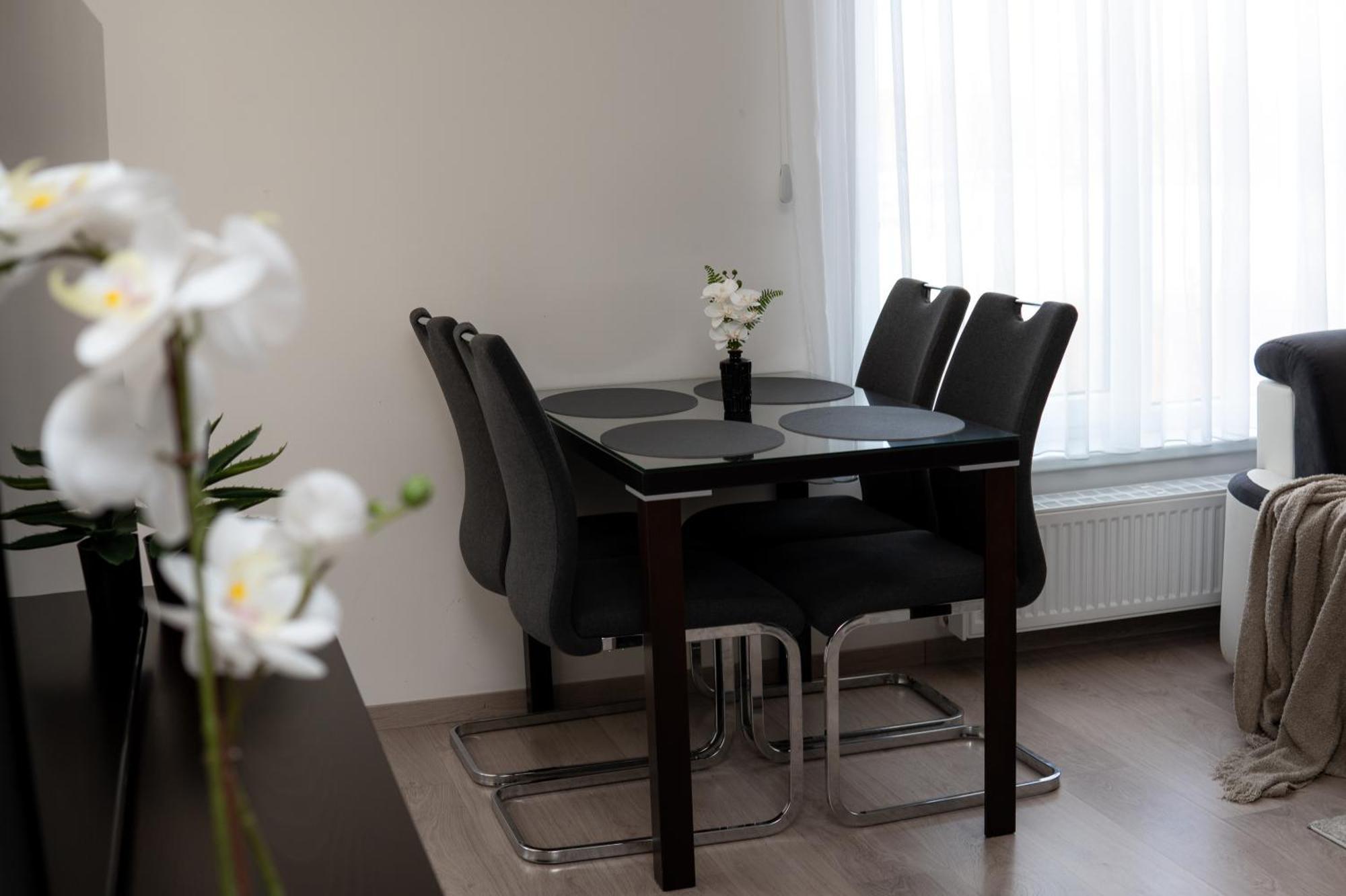 Bnb New Beautiful Apartment In The Center Of Ostrava With Option Garage Parking Экстерьер фото